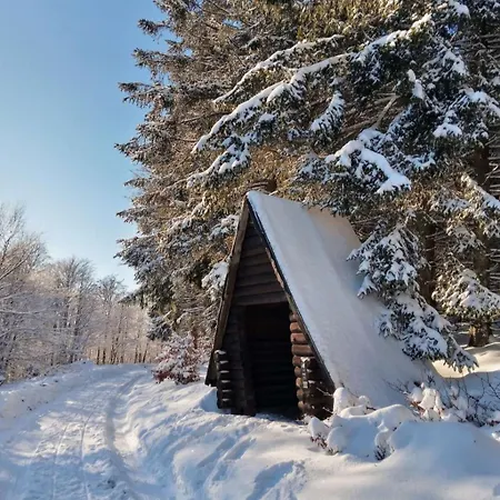 Semesterbostad Detached House 50m From Lift