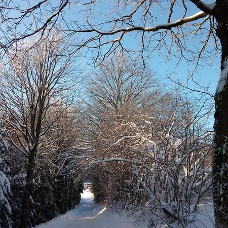 Detached House 50m From Lift Semesterbostad *