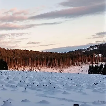 Detached House 50m From Lift