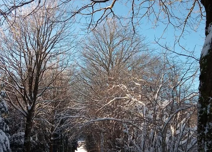 Detached House 50m From Lift Сasa de vacaciones *