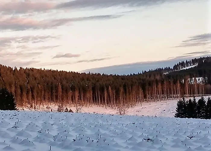 Detached House 50m From Lift