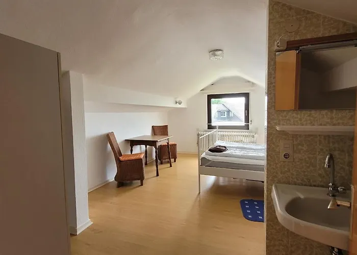 Feriehus Detached House 50m From Lift Winterberg